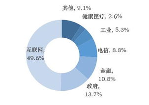 賽迪數據 互聯網、政務與金融成大數據發展核心，互聯網數據服務價值凸顯